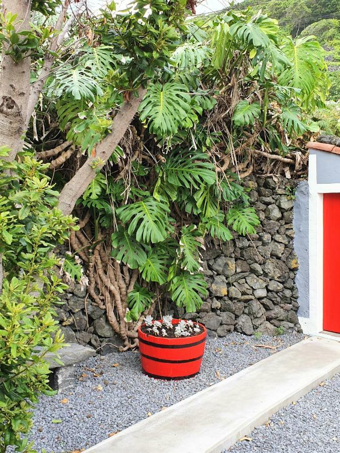Casinha De Nesquim Villa Calheta de Nesquim Eksteriør bilde